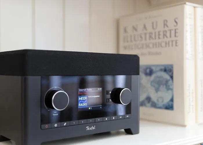 Schilling Am Steinhuder Daire *